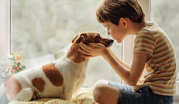 Die chronische Bronchitis beim Hund