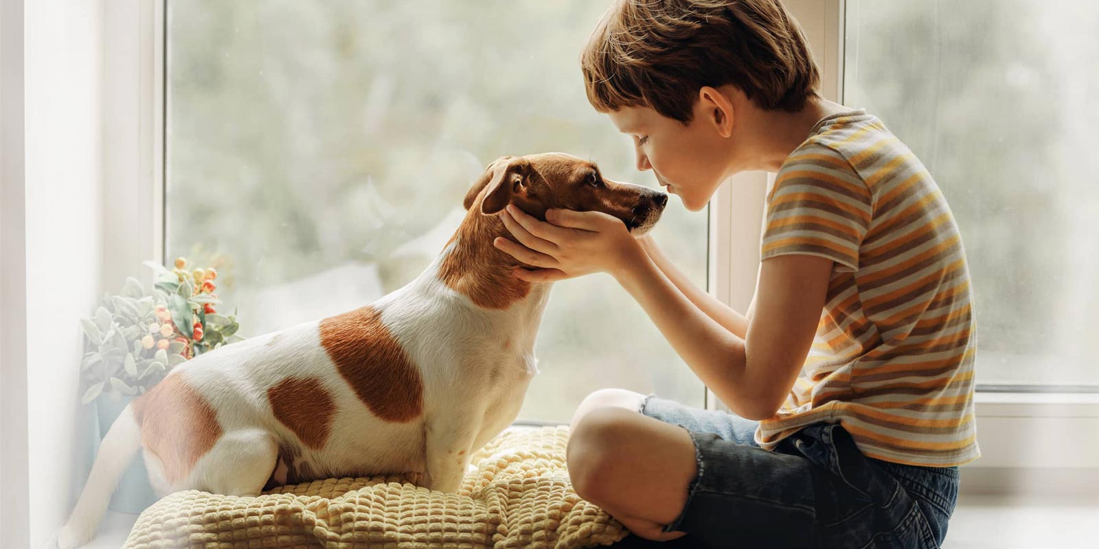 Die chronische Bronchitis beim Hund - RC-Animal-Chamber