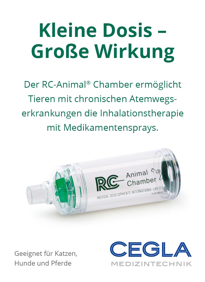 Inhalierhilfe RC-Animal Chamber